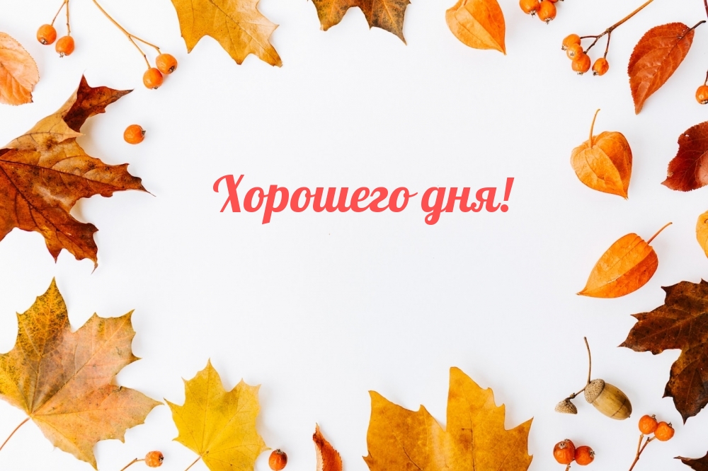 Хорошего дня с осенними листочками.
