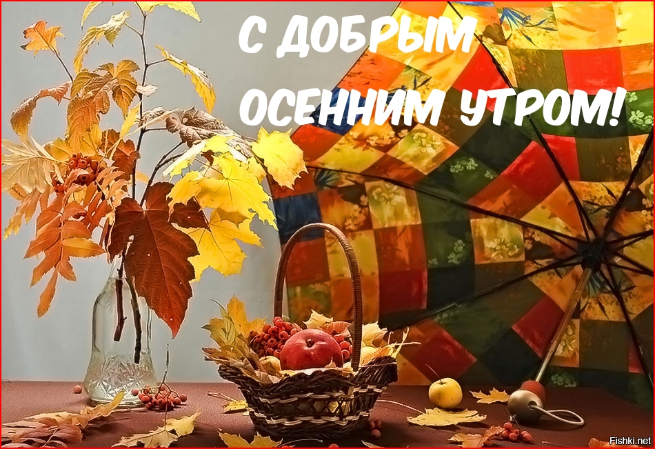 С добрым осенним утром!