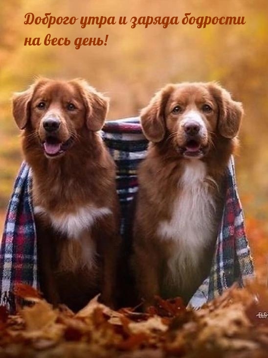 ������� ���� � ������ �������� �� ���� ����!.