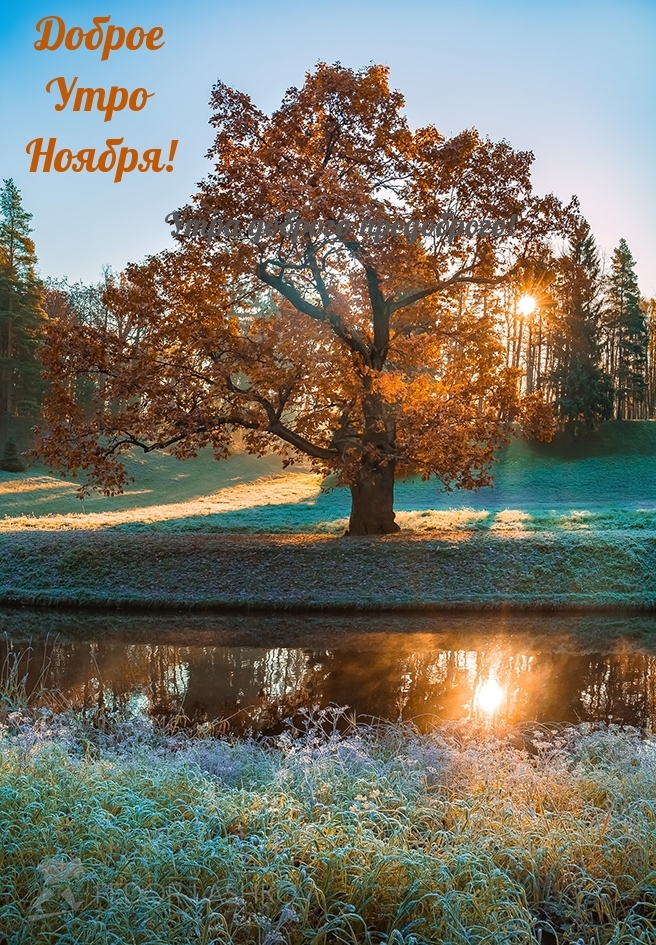 ���� �������-����������!.