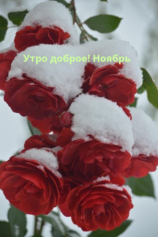 ���� ������! ������.