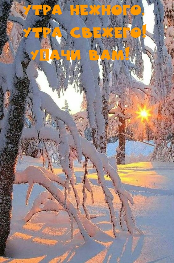 ���� �������, ���� �������! ����� ���!.