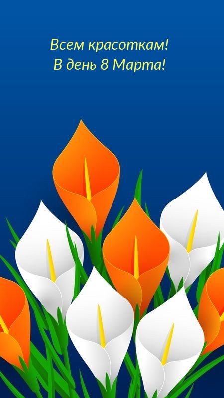 ���� ���������! � ���� 8 �����!.