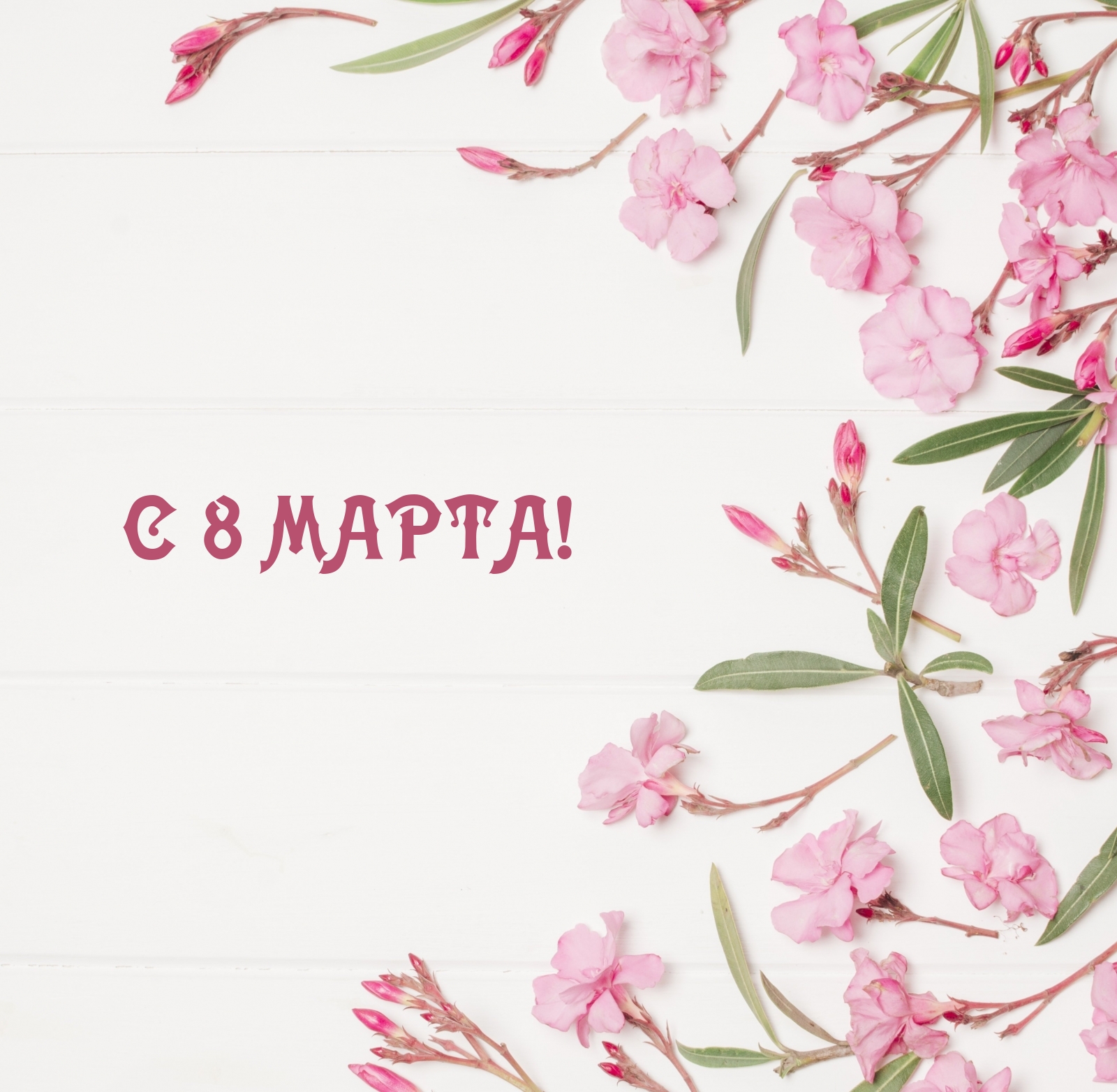 � 8 �����! 