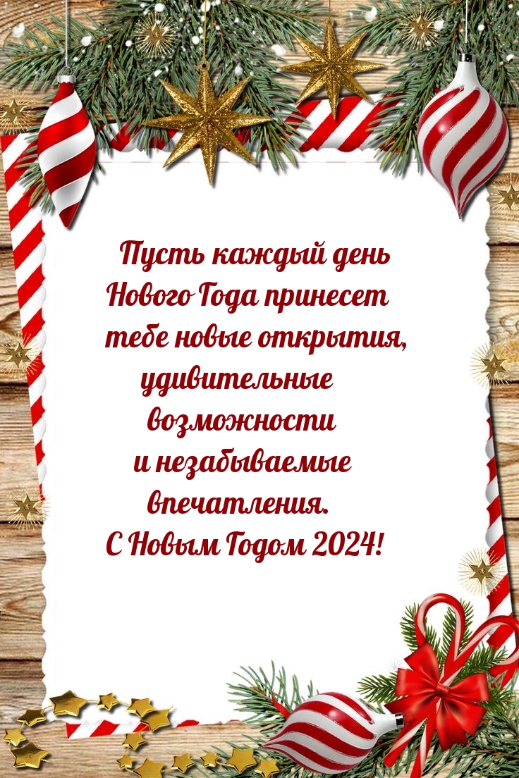 ����� ������ ���� ������ 2024 ���� �������� ���� ����� ��������.