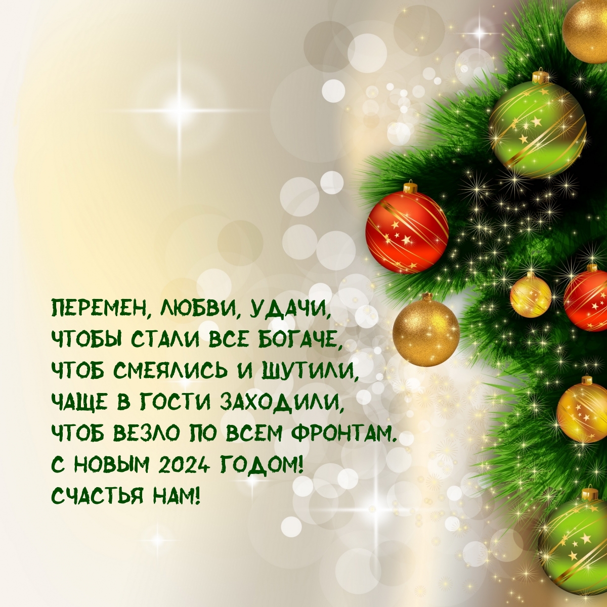 С Новым 2024 годом! Счастья нам!