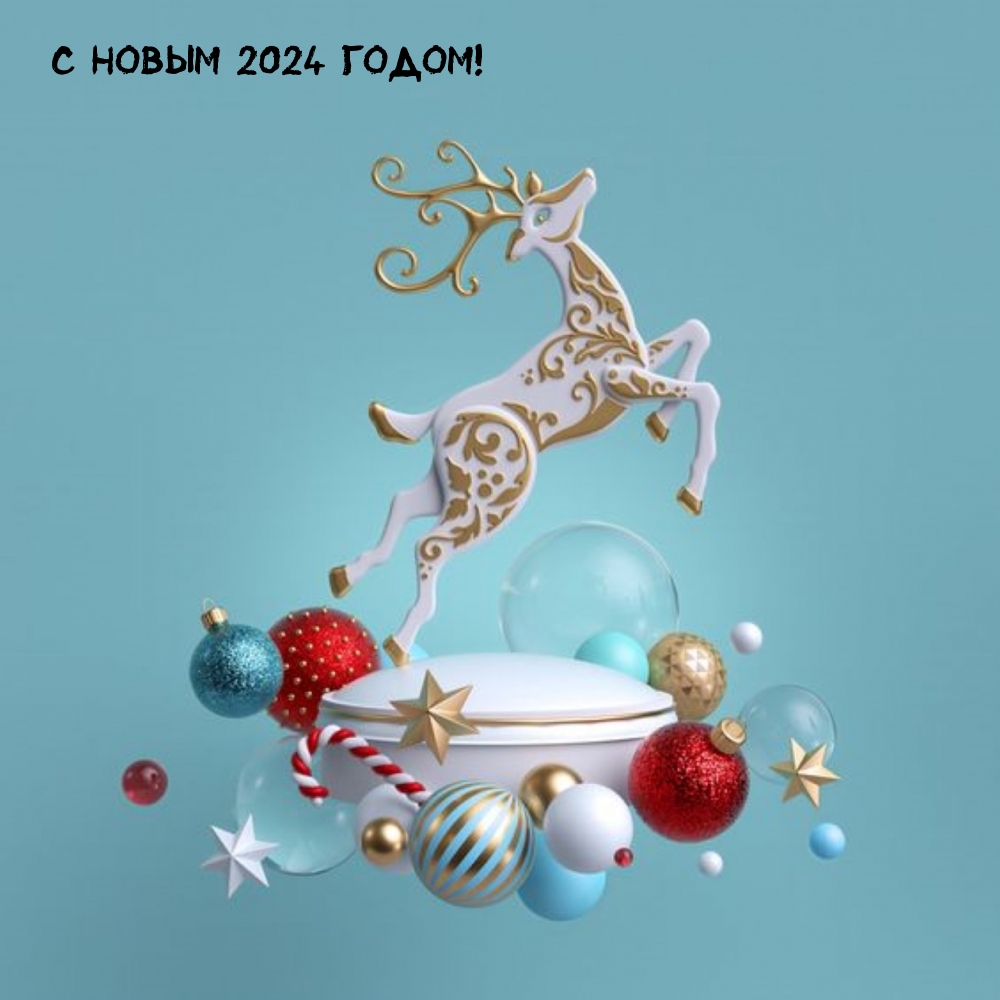 С Новым 2024 годом!