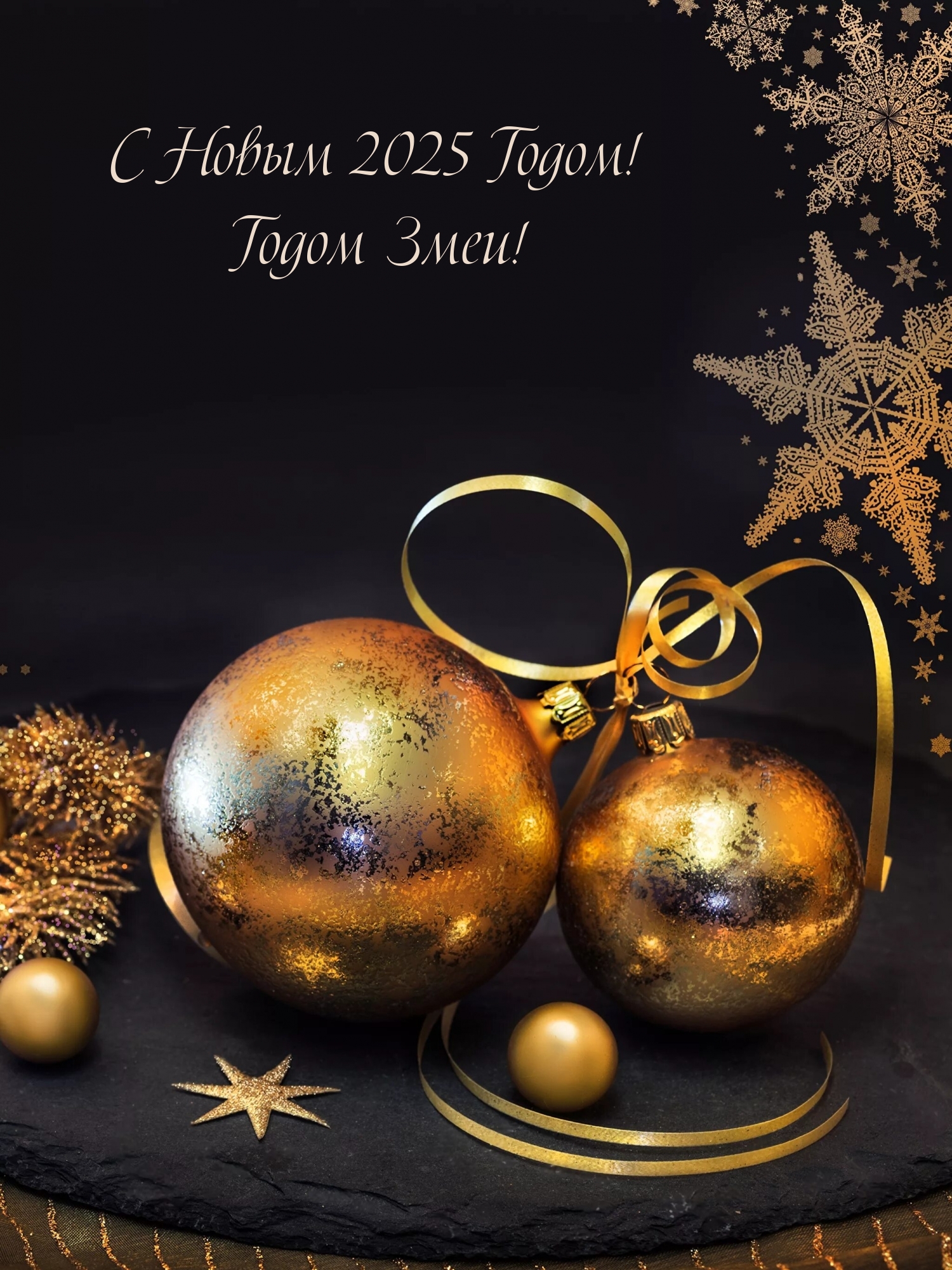 � ����� 2025 �����! ����� ����!.