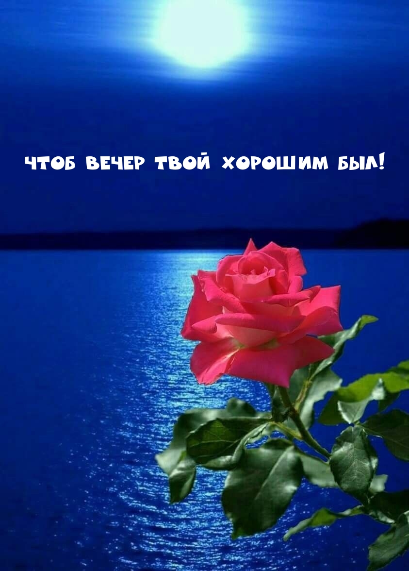     !.