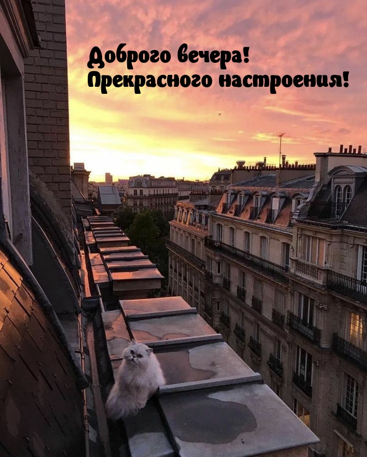 ������� ������! ����������� ����������!