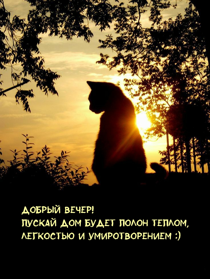     ,   !.