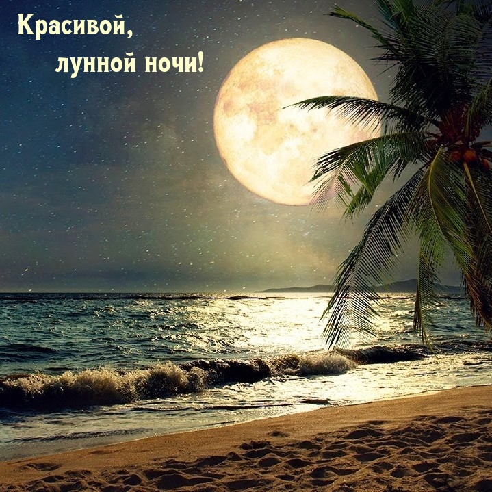 ��������, ������ ����!.