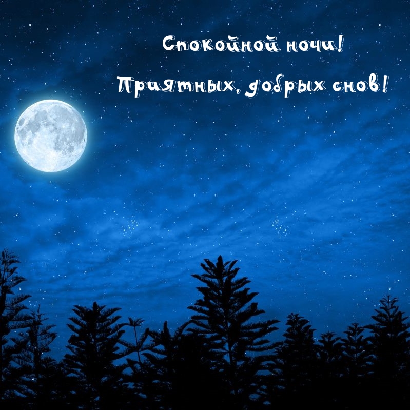 ��������� ����! ��������, ������ ����!.