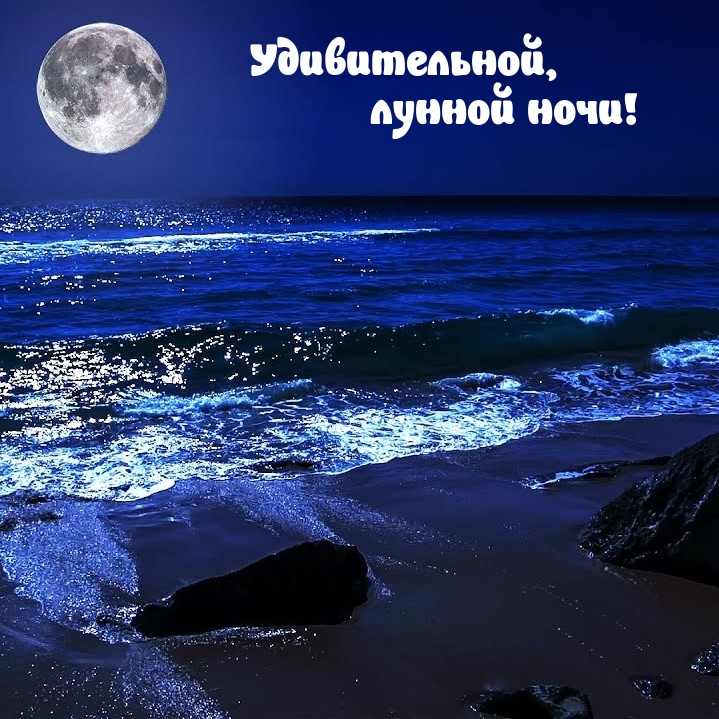 Удивительной, лунной ночи!