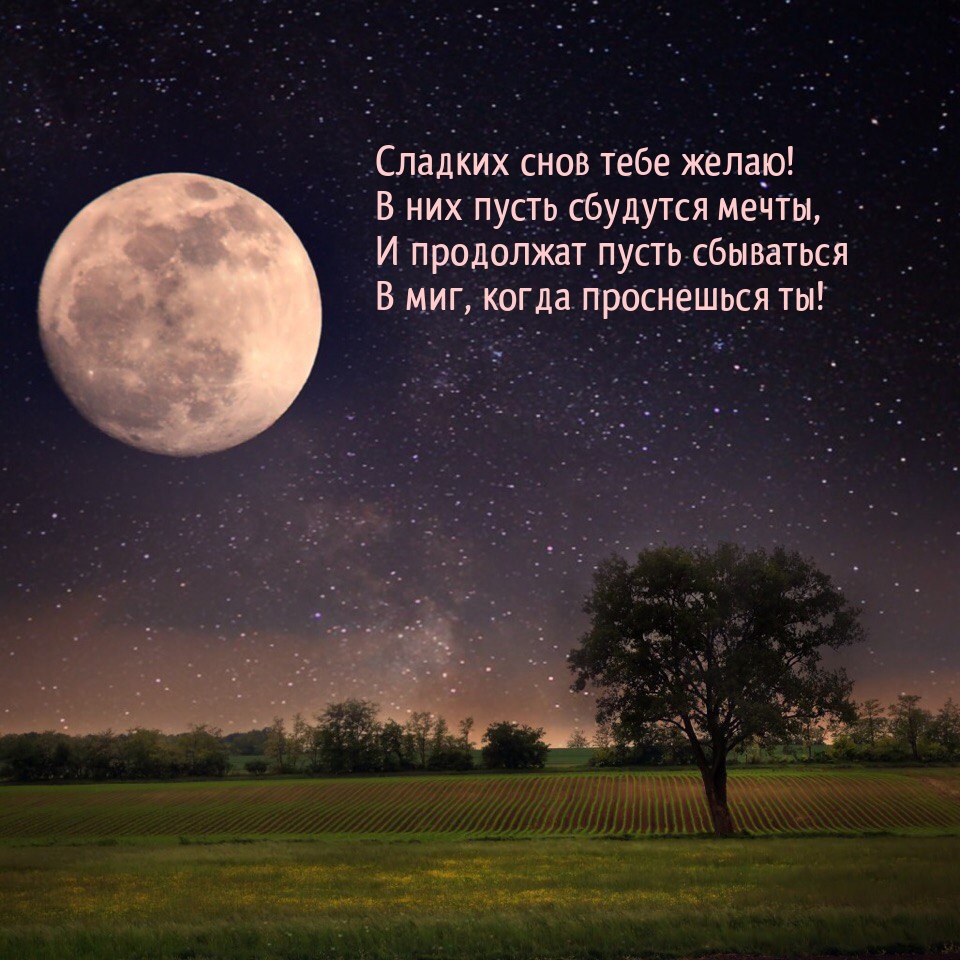 ������� ���� ���� �����! � ��� ����� �������� �����.