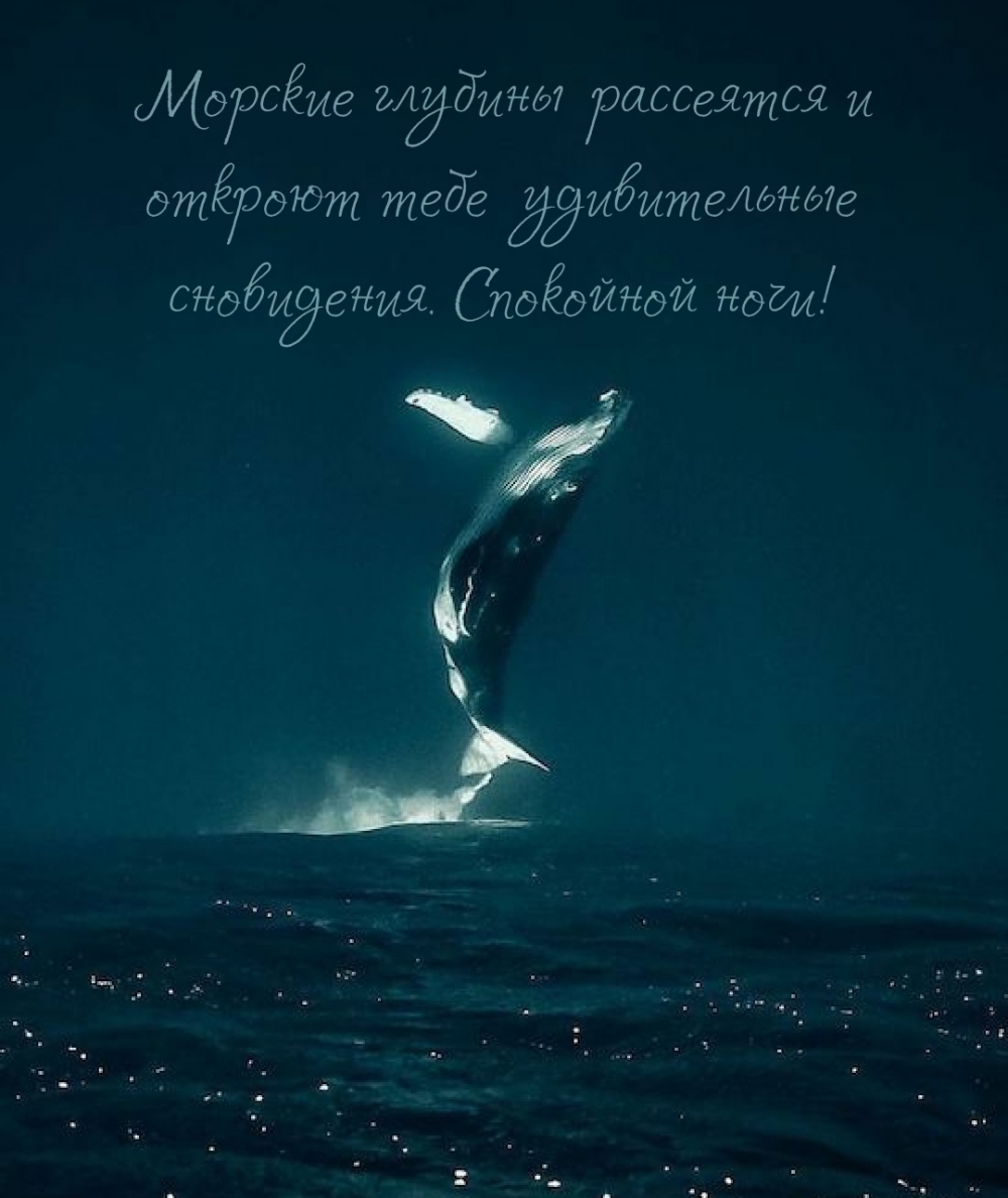 ������� ������� ��������� � ������� ���� ������������ ����������..