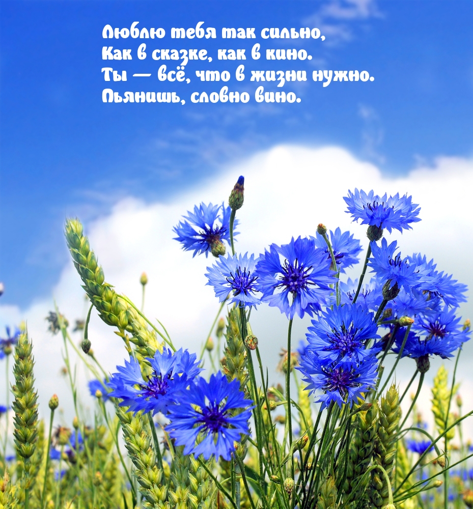 ����� ���� ��� ������, ��� � ������, ��� � ����.