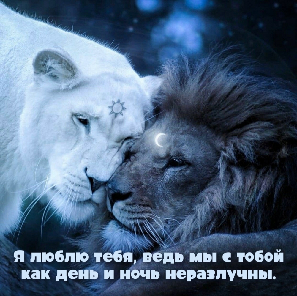 � ����� ����, ���� �� � ����� ��� ���� � ���� ����������..