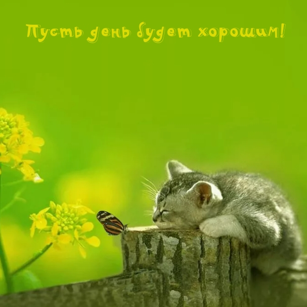 Пусть день будет хорошим!