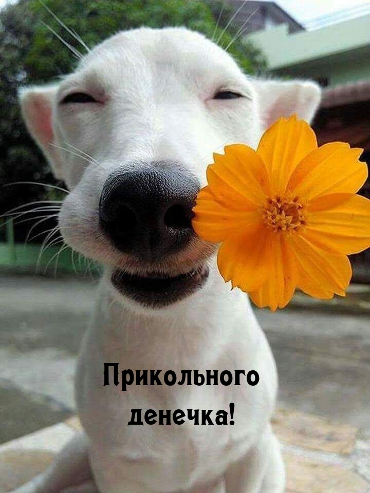 ����������� �������!.