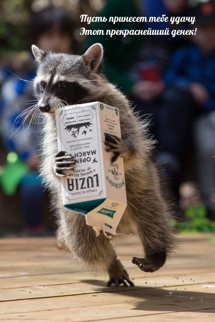 ����� �������� ���� ����� ���� ������������� �����!.