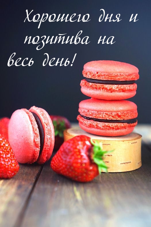 Хорошего дня и позитива на весь день!