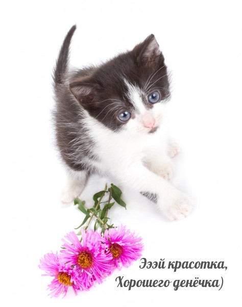 Эээй красотка, Хорошего денёчка)