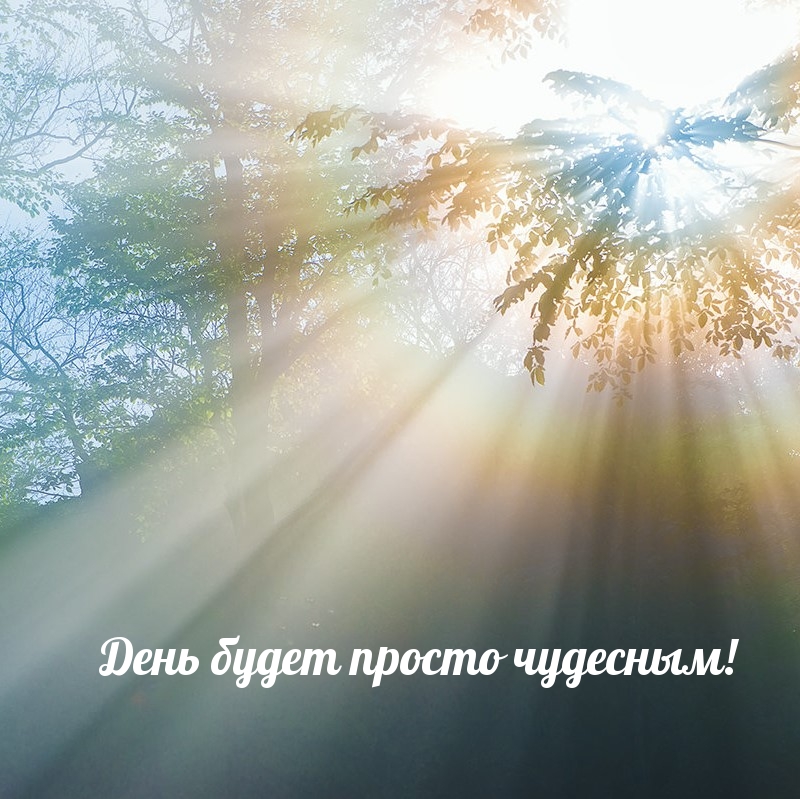 День будет просто чудесным!