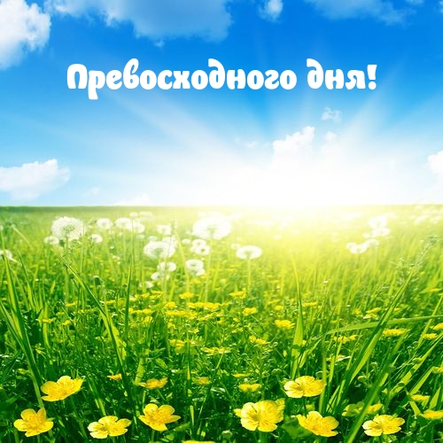 Превосходного дня!