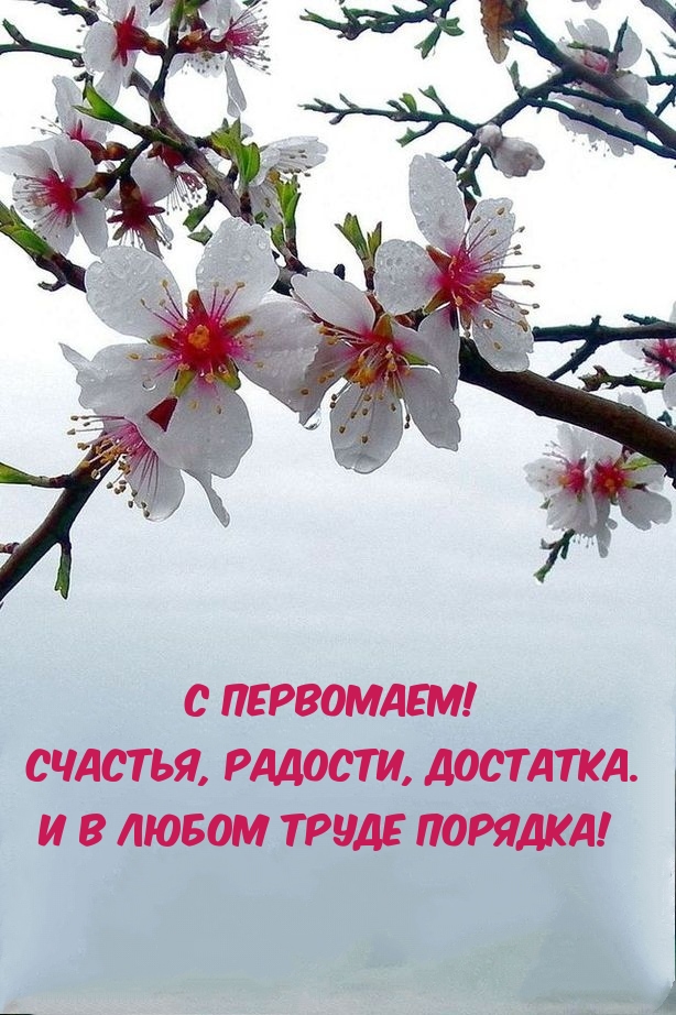 С Первомаем! Счастья, радости, достатка