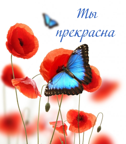 �� ���������.