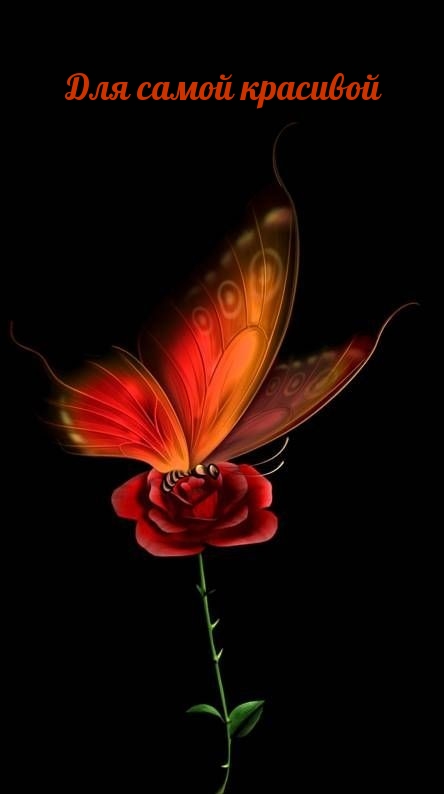 ��� ����� ��������.