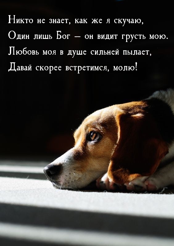 ����� �� �����, ��� �� � ������
