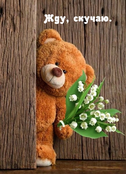 ���, ������.