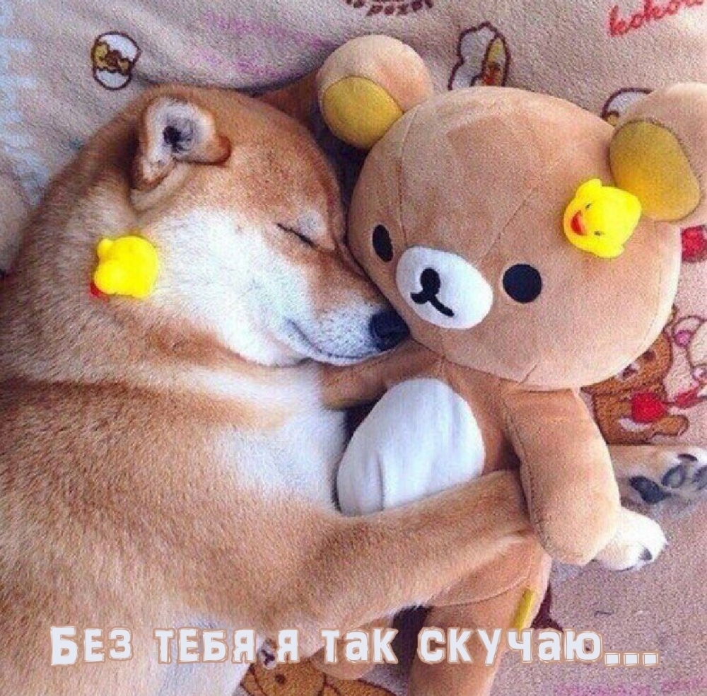 ��� ���� � ��� ������....