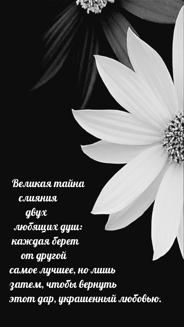 ������� ����� ������� ���� ������� ���....