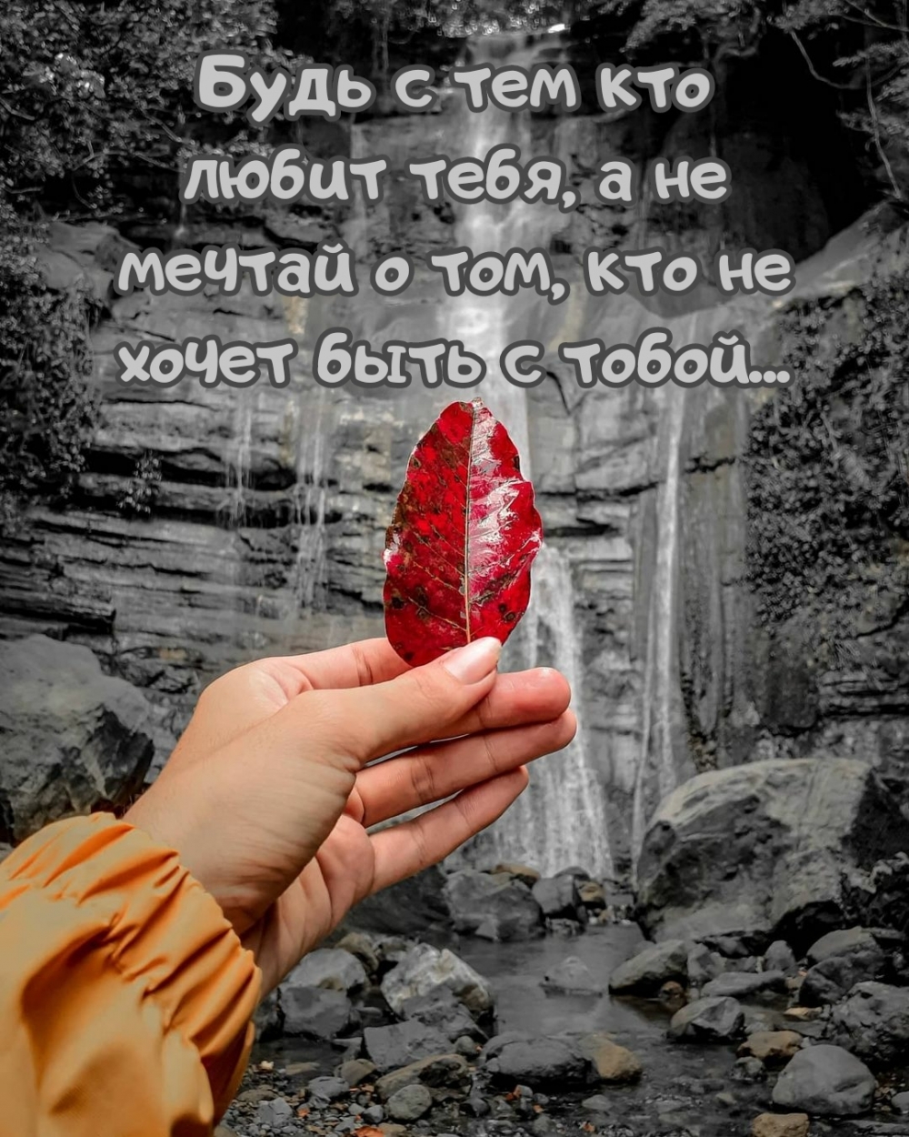   ,   