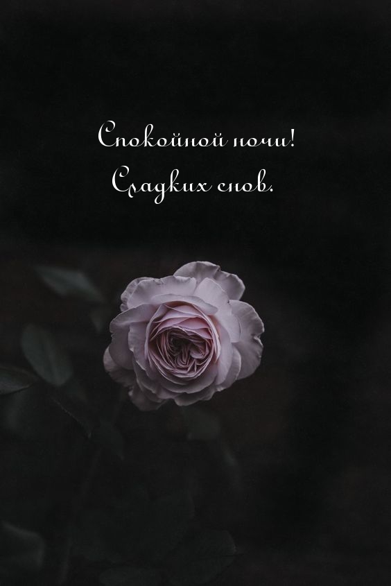 ��������� ����! ������� ����..