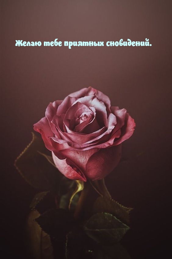 ����� ���� �������� ����������..