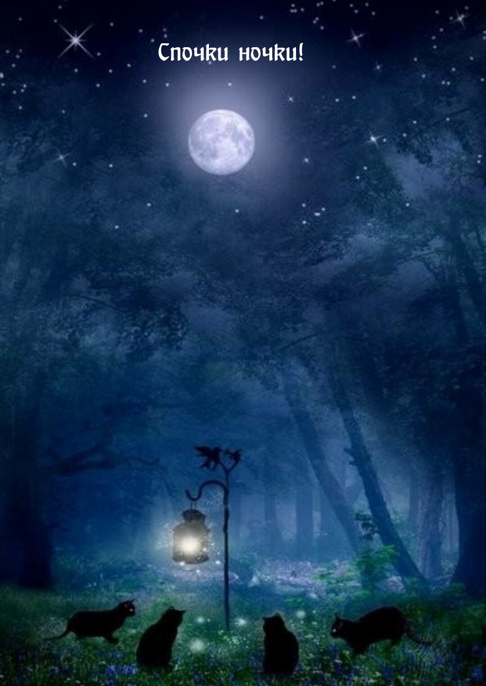 Ночной лес с луной