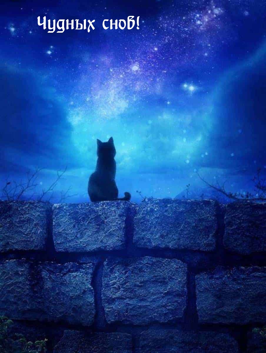 ������ ����!.