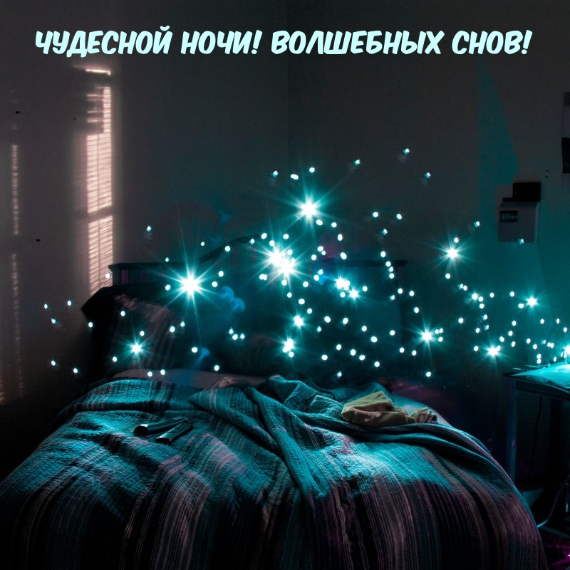 �������� ����! ��������� ����!.