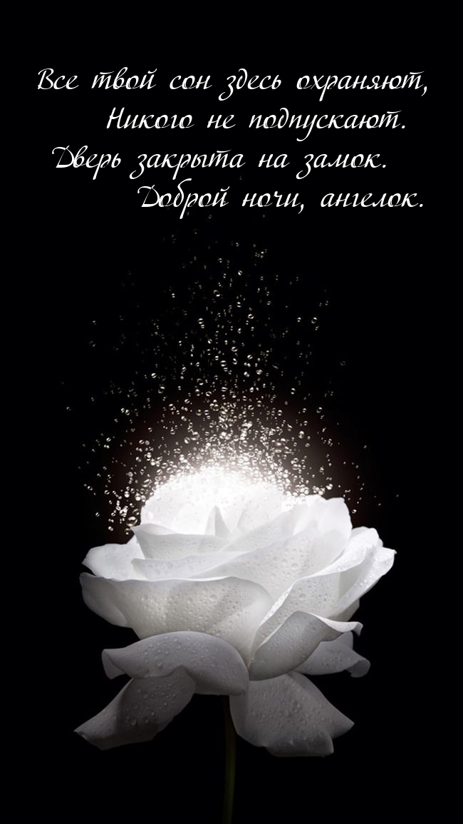 ����� ������� �� �����. ������ ����, �������..