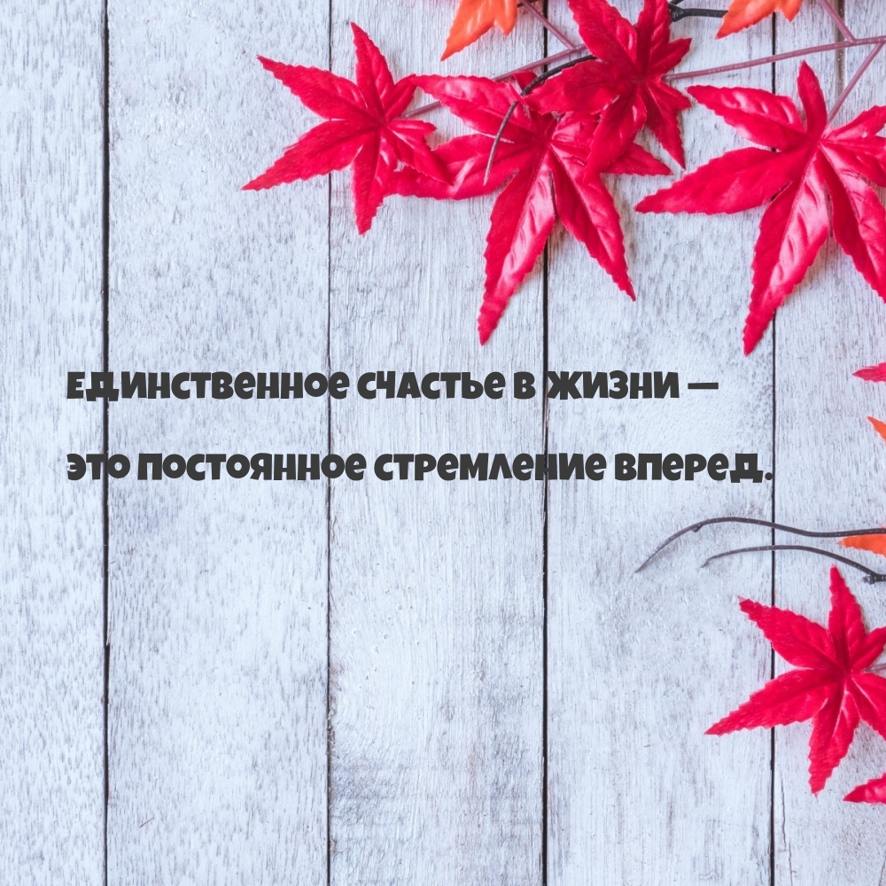 Единственное счастье в жизни - это стремление вперед.