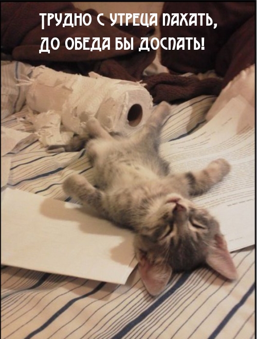 ������ � ������ ������, �� ����� �� �������!.