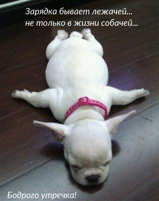 ������� ������ �������... �� ������ � ����� �������...