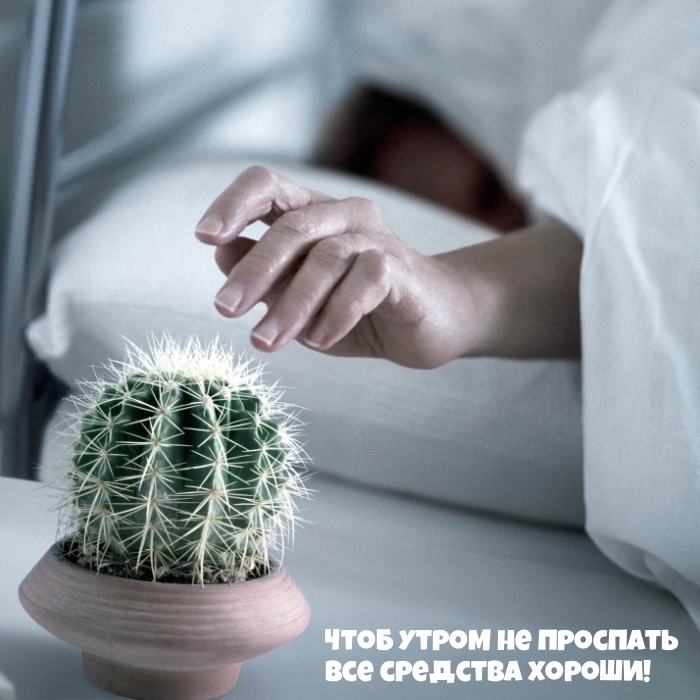 ���� ����� �� �������� ��� �������� ������!.