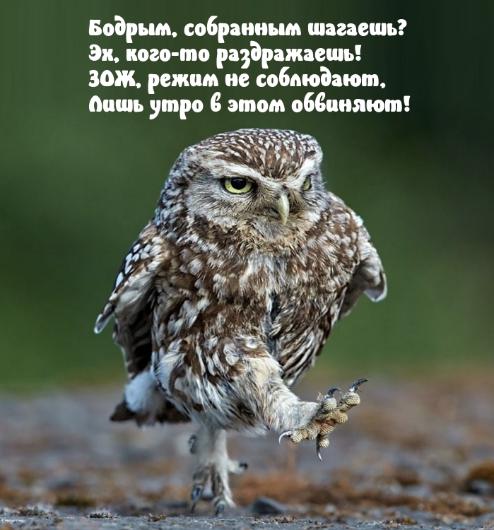 ������, ��������� �������? ��, ����-�� �����������!