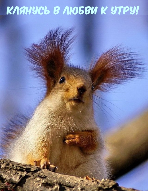 ������� � ����� � ����!