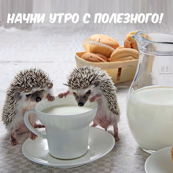����� ���� � ���������!.